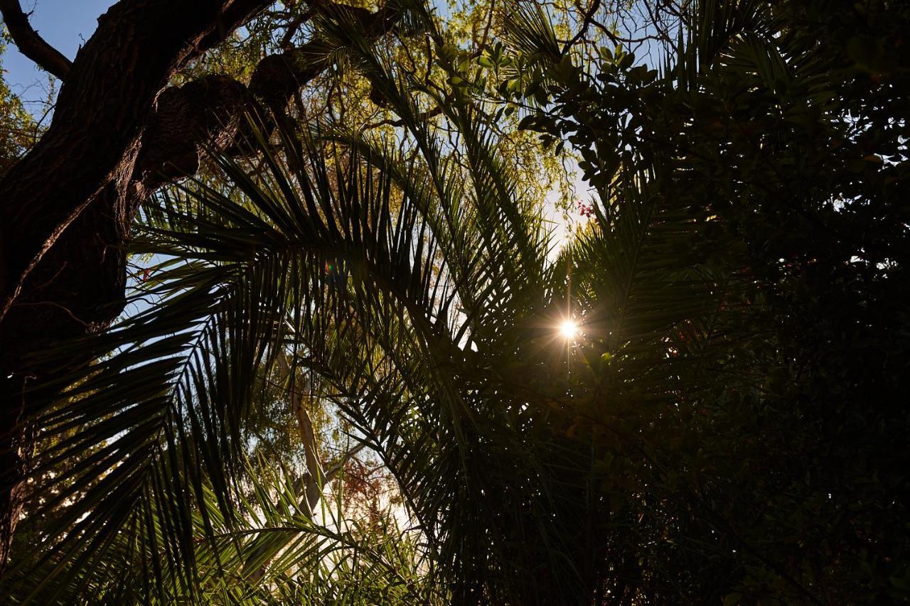 Alquiler Temp "Una Pausa" Barrio Privado En Vistalba Mendoza Esterno foto
