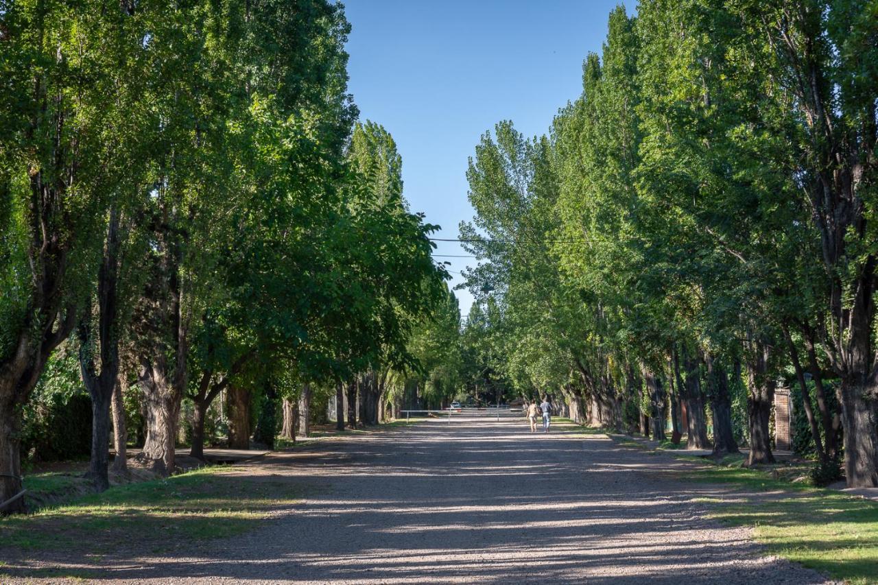 Alquiler Temp "Una Pausa" Barrio Privado En Vistalba Mendoza Esterno foto
