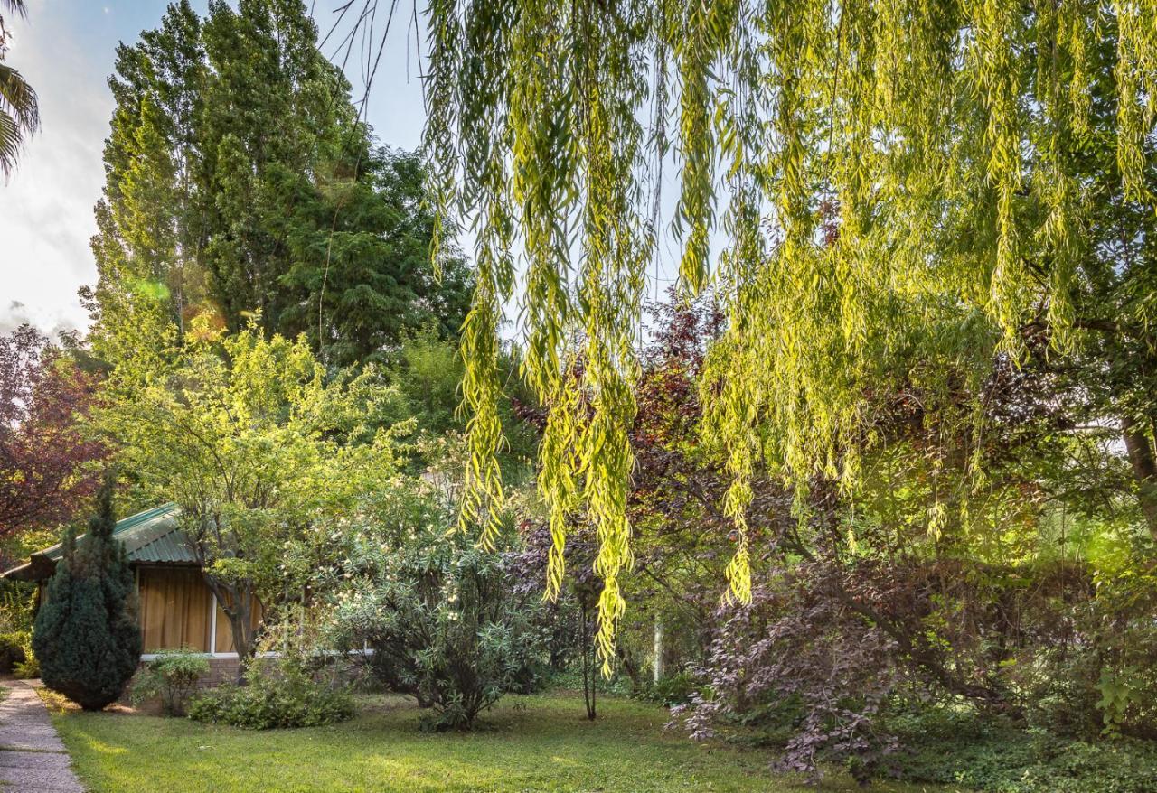 Alquiler Temp "Una Pausa" Barrio Privado En Vistalba Mendoza Esterno foto