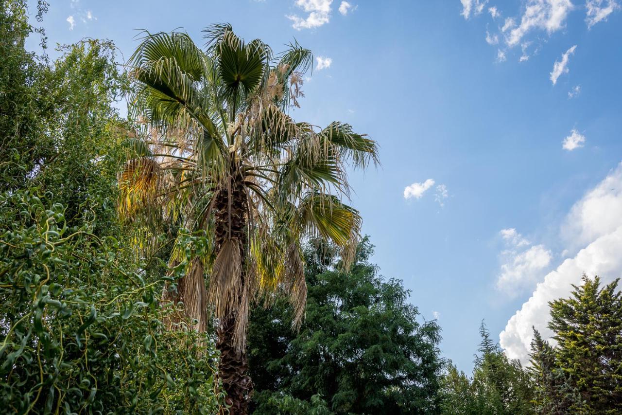 Alquiler Temp "Una Pausa" Barrio Privado En Vistalba Mendoza Esterno foto